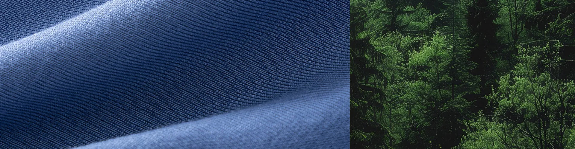 Modal